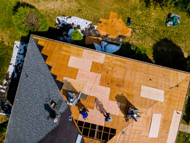 Best Roof Maintenance Services  in Kearny, NJ