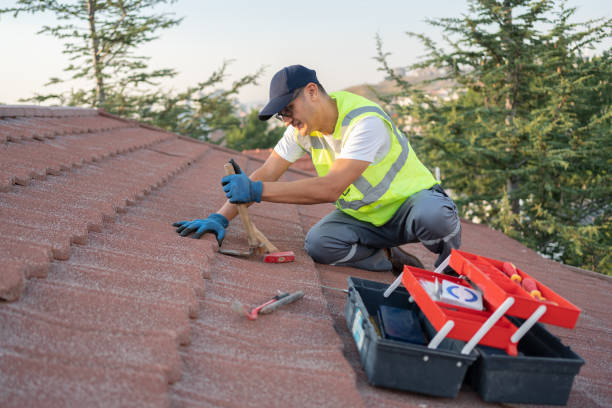 Best Gutter Installation and Roofing  in Kearny, NJ