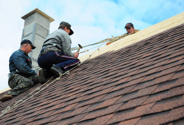 Best Roof Leak Repair  in Kearny, NJ